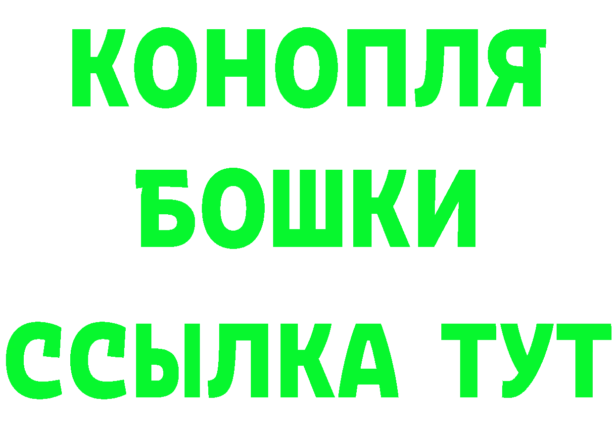 Canna-Cookies марихуана как войти нарко площадка гидра Павловский Посад